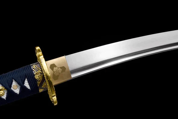 Tanto Seiryū no Kiba (青龍の牙短刀)